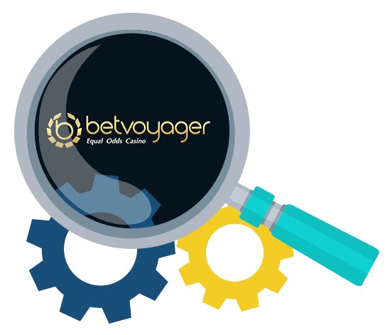 Betvoyager Casino - Software
