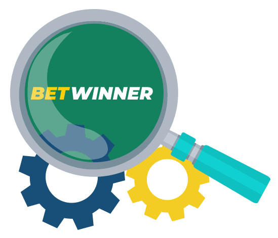 BetWinner Casino - Software