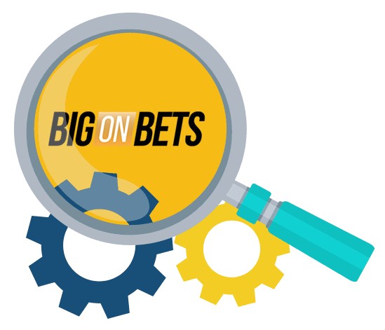 Big on Bets Casino - Software