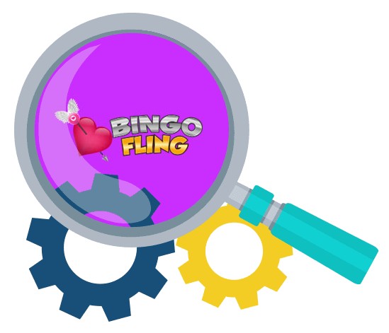 Bingo Fling - Software
