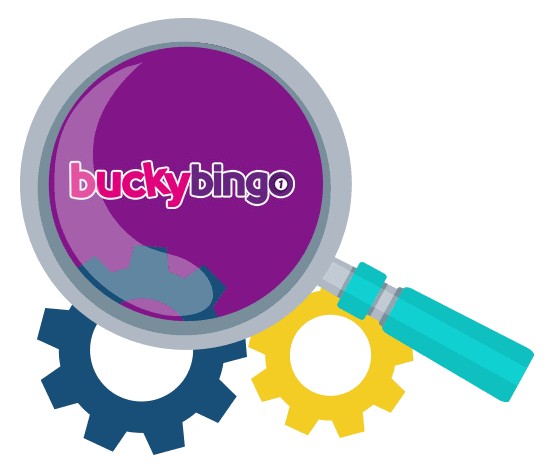 Bucky Bingo Casino - Software