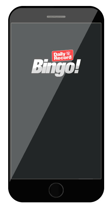 Daily Record Bingo - Mobile friendly