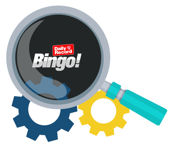 Daily Record Bingo - Software