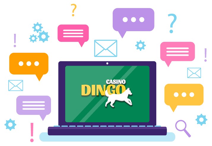 Dingo Casino - Support