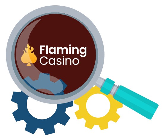 Flaming Casino - Software