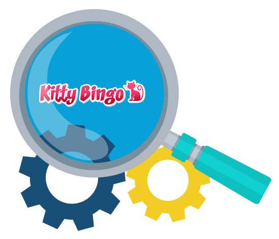 Kitty Bingo Casino - Software