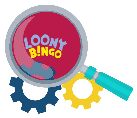 Loony Bingo - Software