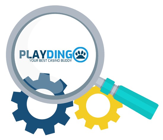 Playdingo - Software