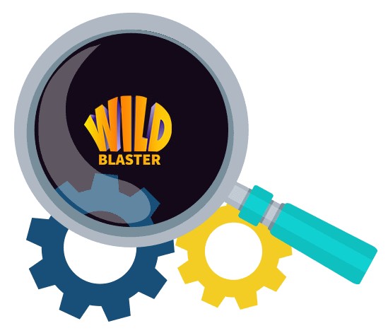 Wildblaster Casino - Software