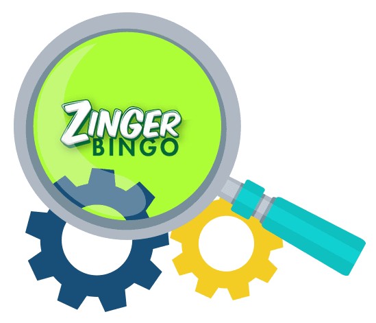 Zinger Bingo Casino - Software